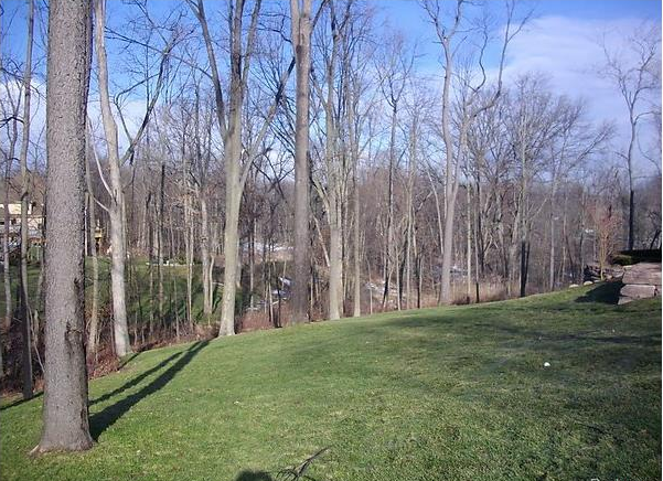 Goodison Place Rochester MI Homes for sale 